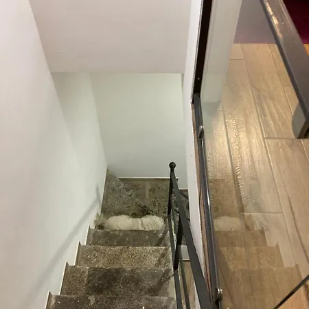 International Garibaldi * * Napoli